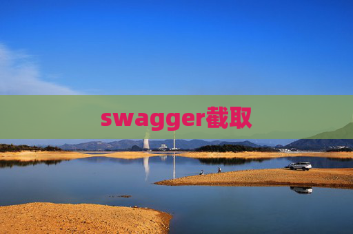 swagger截取